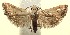  ( - 13-SRNP-100511)  @14 [ ] CreativeCommons  Attribution Non-Commercial Share-Alike (2017) Daniel H. Janzen Guanacaste Dry Forest Conservation Fund