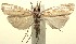  ( - 13-SRNP-100642)  @14 [ ] CreativeCommons  Attribution Non-Commercial Share-Alike (2017) Daniel H. Janzen Guanacaste Dry Forest Conservation Fund