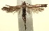  ( - 13-SRNP-100697)  @13 [ ] CreativeCommons  Attribution Non-Commercial Share-Alike (2017) Daniel H. Janzen Guanacaste Dry Forest Conservation Fund