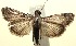  ( - 13-SRNP-100710)  @14 [ ] CreativeCommons  Attribution Non-Commercial Share-Alike (2017) Daniel H. Janzen Guanacaste Dry Forest Conservation Fund