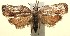  ( - 13-SRNP-100715)  @14 [ ] CreativeCommons  Attribution Non-Commercial Share-Alike (2017) Daniel H. Janzen Guanacaste Dry Forest Conservation Fund