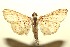  ( - 13-SRNP-100743)  @13 [ ] CreativeCommons  Attribution Non-Commercial Share-Alike (2017) Daniel H. Janzen Guanacaste Dry Forest Conservation Fund