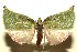  ( - 13-SRNP-100750)  @14 [ ] CreativeCommons  Attribution Non-Commercial Share-Alike (2017) Daniel H. Janzen Guanacaste Dry Forest Conservation Fund