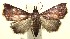  ( - 13-SRNP-100770)  @14 [ ] CreativeCommons  Attribution Non-Commercial Share-Alike (2017) Daniel H. Janzen Guanacaste Dry Forest Conservation Fund