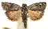  ( - 13-SRNP-100804)  @14 [ ] CreativeCommons  Attribution Non-Commercial Share-Alike (2017) Daniel H. Janzen Guanacaste Dry Forest Conservation Fund