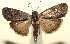  ( - 13-SRNP-100808)  @14 [ ] CreativeCommons  Attribution Non-Commercial Share-Alike (2017) Daniel H. Janzen Guanacaste Dry Forest Conservation Fund