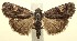  ( - 13-SRNP-100809)  @14 [ ] CreativeCommons  Attribution Non-Commercial Share-Alike (2017) Daniel H. Janzen Guanacaste Dry Forest Conservation Fund