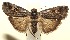  ( - 13-SRNP-100812)  @14 [ ] CreativeCommons  Attribution Non-Commercial Share-Alike (2017) Daniel H. Janzen Guanacaste Dry Forest Conservation Fund