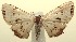  ( - 13-SRNP-100825)  @14 [ ] CreativeCommons  Attribution Non-Commercial Share-Alike (2017) Daniel H. Janzen Guanacaste Dry Forest Conservation Fund