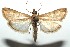  ( - 13-SRNP-100850)  @15 [ ] CreativeCommons  Attribution Non-Commercial Share-Alike (2017) Daniel H. Janzen Guanacaste Dry Forest Conservation Fund