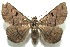  ( - 13-SRNP-100914)  @14 [ ] CreativeCommons  Attribution Non-Commercial Share-Alike (2017) Daniel H. Janzen Guanacaste Dry Forest Conservation Fund