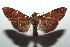  ( - 14-SRNP-105611)  @14 [ ] CreativeCommons  Attribution Non-Commercial Share-Alike (2016) Unspecified Guanacaste Dry Forest Conservation Fund
