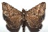  ( - 14-SRNP-105655)  @14 [ ] CreativeCommons  Attribution Non-Commercial Share-Alike (2016) Unspecified Guanacaste Dry Forest Conservation Fund