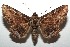 ( - 14-SRNP-105661)  @14 [ ] CreativeCommons  Attribution Non-Commercial Share-Alike (2016) Unspecified Guanacaste Dry Forest Conservation Fund