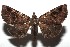  ( - 14-SRNP-105718)  @14 [ ] CreativeCommons  Attribution Non-Commercial Share-Alike (2016) Unspecified Guanacaste Dry Forest Conservation Fund