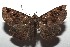  ( - 14-SRNP-105724)  @14 [ ] CreativeCommons  Attribution Non-Commercial Share-Alike (2016) Unspecified Guanacaste Dry Forest Conservation Fund