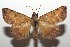  ( - 14-SRNP-105728)  @14 [ ] CreativeCommons  Attribution Non-Commercial Share-Alike (2016) Unspecified Guanacaste Dry Forest Conservation Fund