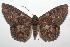  ( - 14-SRNP-105785)  @14 [ ] CreativeCommons  Attribution Non-Commercial Share-Alike (2016) Unspecified Guanacaste Dry Forest Conservation Fund