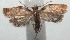  ( - 14-SRNP-105846)  @14 [ ] CreativeCommons  Attribution Non-Commercial Share-Alike (2016) Unspecified Guanacaste Dry Forest Conservation Fund