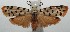  ( - 14-SRNP-105859)  @14 [ ] CreativeCommons  Attribution Non-Commercial Share-Alike (2016) Unspecified Guanacaste Dry Forest Conservation Fund