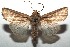  ( - 14-SRNP-105895)  @14 [ ] CreativeCommons  Attribution Non-Commercial Share-Alike (2016) Unspecified Guanacaste Dry Forest Conservation Fund