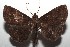  ( - 14-SRNP-105900)  @14 [ ] CreativeCommons  Attribution Non-Commercial Share-Alike (2016) Unspecified Guanacaste Dry Forest Conservation Fund