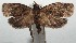  ( - 14-SRNP-105977)  @14 [ ] CreativeCommons  Attribution Non-Commercial Share-Alike (2016) Unspecified Guanacaste Dry Forest Conservation Fund