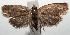 ( - 14-SRNP-105978)  @14 [ ] CreativeCommons  Attribution Non-Commercial Share-Alike (2016) Unspecified Guanacaste Dry Forest Conservation Fund