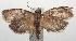  ( - 14-SRNP-105981)  @14 [ ] CreativeCommons  Attribution Non-Commercial Share-Alike (2016) Unspecified Guanacaste Dry Forest Conservation Fund
