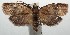  ( - 14-SRNP-105984)  @14 [ ] CreativeCommons  Attribution Non-Commercial Share-Alike (2016) Unspecified Guanacaste Dry Forest Conservation Fund