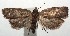  ( - 14-SRNP-105986)  @14 [ ] CreativeCommons  Attribution Non-Commercial Share-Alike (2016) Unspecified Guanacaste Dry Forest Conservation Fund