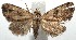  ( - 14-SRNP-106015)  @13 [ ] CreativeCommons  Attribution Non-Commercial Share-Alike (2016) Unspecified Guanacaste Dry Forest Conservation Fund
