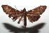  ( - 14-SRNP-106038)  @11 [ ] CreativeCommons  Attribution Non-Commercial Share-Alike (2016) Unspecified Guanacaste Dry Forest Conservation Fund