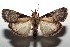  ( - 14-SRNP-106048)  @14 [ ] CreativeCommons  Attribution Non-Commercial Share-Alike (2016) Unspecified Guanacaste Dry Forest Conservation Fund