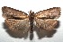  ( - 14-SRNP-106054)  @14 [ ] CreativeCommons  Attribution Non-Commercial Share-Alike (2016) Unspecified Guanacaste Dry Forest Conservation Fund