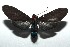  ( - 14-SRNP-106086)  @13 [ ] CreativeCommons  Attribution Non-Commercial Share-Alike (2016) Unspecified Guanacaste Dry Forest Conservation Fund