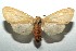  ( - 14-SRNP-106096)  @14 [ ] CreativeCommons  Attribution Non-Commercial Share-Alike (2016) Unspecified Guanacaste Dry Forest Conservation Fund