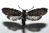  ( - 14-SRNP-106138)  @13 [ ] CreativeCommons  Attribution Non-Commercial Share-Alike (2016) Unspecified Guanacaste Dry Forest Conservation Fund