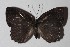  ( - 14-SRNP-71107)  @14 [ ] CreativeCommons  Attribution Non-Commercial Share-Alike (2016) Unspecified Guanacaste Dry Forest Conservation Fund