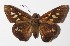  ( - 14-SRNP-71273)  @11 [ ] CreativeCommons  Attribution Non-Commercial Share-Alike (2016) Unspecified Guanacaste Dry Forest Conservation Fund