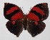  ( - 90-SRNP-2241)  @14 [ ] CreativeCommons  Attribution Non-Commercial Share-Alike (2016) Unspecified Guanacaste Dry Forest Conservation Fund