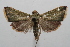  ( - 07-SRNP-113991)  @11 [ ] CreativeCommons - Attribution Non-Commercial Share-Alike (2008) Unspecified Guanacaste Dry Forest Conservation Fund