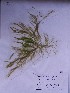  ( - CCDB-25790-D11)  @11 [ ] CreativeCommons  Attribution Non-Commercial Share-Alike (2016) Oana Marin INCDM