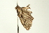  ( - BL1097)  @13 [ ] CreativeCommons - Attribution (2009) Unspecified Centre for Biodiversity Genomics