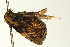  ( - BL1098)  @12 [ ] CreativeCommons - Attribution (2009) Unspecified Centre for Biodiversity Genomics