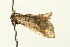  ( - BL1326)  @12 [ ] CreativeCommons - Attribution (2009) Unspecified Centre for Biodiversity Genomics