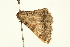  ( - BL1341)  @12 [ ] CreativeCommons - Attribution (2009) Unspecified Centre for Biodiversity Genomics