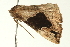  ( - BL704)  @13 [ ] CreativeCommons - Attribution (2009) Unspecified Centre for Biodiversity Genomics