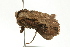  ( - BL188)  @12 [ ] CreativeCommons - Attribution (2009) Unspecified Centre for Biodiversity Genomics