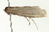 ( - BL299)  @11 [ ] CreativeCommons - Attribution (2009) Unspecified Centre for Biodiversity Genomics